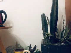 -春风十里咖啡馆