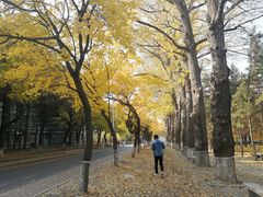 -吉林大学(南岭校区)