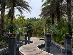 -台山颐和温泉城