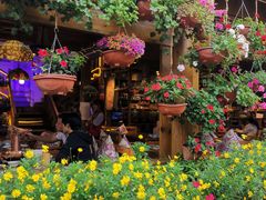 -民食香·腊排骨野生菌美食(木府店)