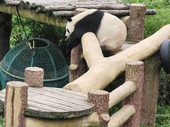 -沈阳森林动物园