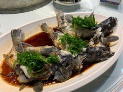 清蒸小石斑鱼-小螺号海鲜·地道鲁菜(泉城广场店)