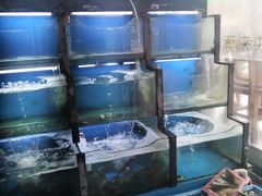 -老东镇啤酒屋海鲜加工·蒸汽海鲜·海鲜烧烤(台东店)