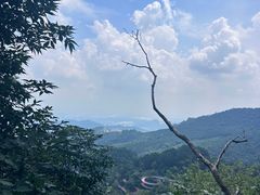 -大芦花风景区