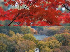 -灵谷景区