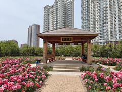 -哈尔滨工业大学(威海校区)