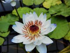 -北京植物园-展览温室