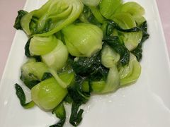 清炒菜心-光明邨大酒家(汇阳广场店)