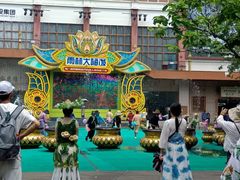 -西双版纳原始森林公园