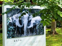 -野象谷景区