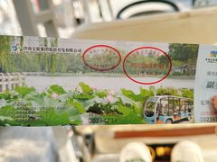 -济南大明湖景区