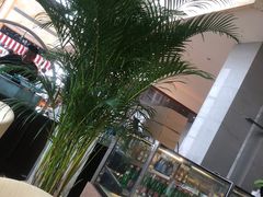 -视界美食自助餐厅·石家庄希尔顿酒店