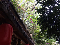 -香叶草中餐厅(川白楼店)