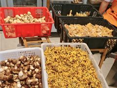 -草墩罗非鱼庄•野生菌•腊排骨(七星街上段店)