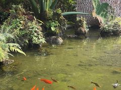 -丫沙底瀑布温泉