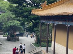 -普陀山风景名胜区-法雨禅寺