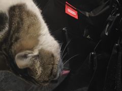 -铜瓢江湖兔火锅(水碾河社区店)