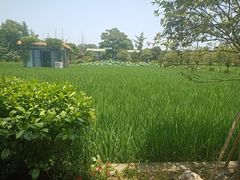 -洪湖家庭农场·团建·露营·会议