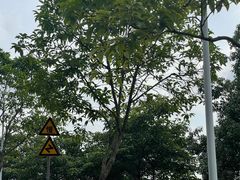 -火炉山森林公园