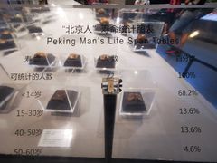 -北京周口店北京人遗址博物馆