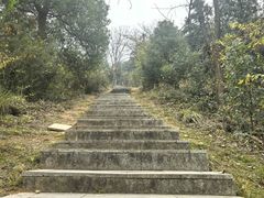 -桃花岭景区