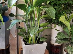-万家邻里彩香菜市场