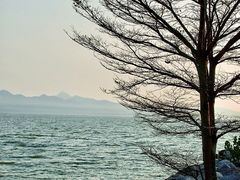 -深圳湾公园(南山区)