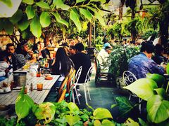 -The Grounds of Alexandria