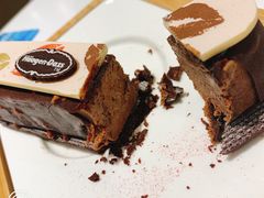 闪电冰淇淋（比利时）-哈根达斯(陆家浜路店)