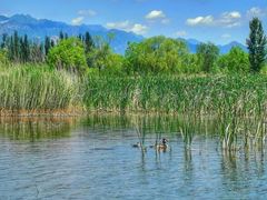 -野鸭湖国家湿地公园