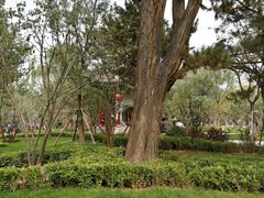 -迎泽公园