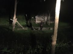 -清迈夜间动物园