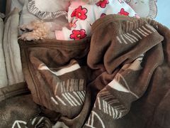 -爱侣宠医·鹦鹉专科·小型哺乳类·异宠专科(灵石路店)