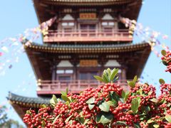 -庐山风景名胜区-东林大佛