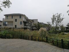 -田园东方蜜桃村的田野营地
