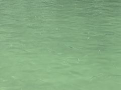 -九曲溪竹筏码头