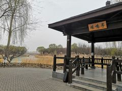 -大兴滨河森林公园