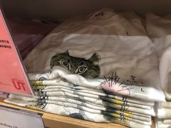 -优衣库(南宁江南万达店)