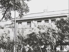 -仙岳公园