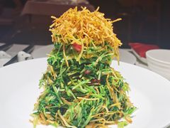 巧拌豆苗-四季民福烤鸭店(前门廊房二条店)