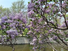 -元大都城垣遗址公园