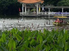 -荔湾湖公园