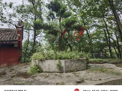 -荣县大佛