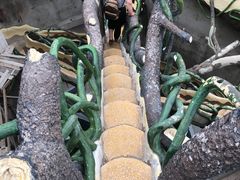 -疯狂屋