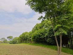 -贡湖湾湿地公园
