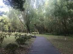 -长广溪湿地公园
