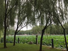 -廊坊市自然公园