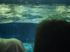-泉城欧乐堡海洋极地世界
