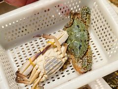 -长平肥姐白粥·海鲜打冷