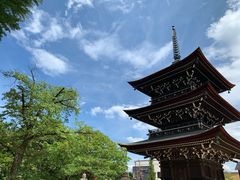 -医王山·飞騨国分寺